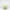 Green Meadow Pouf – Small